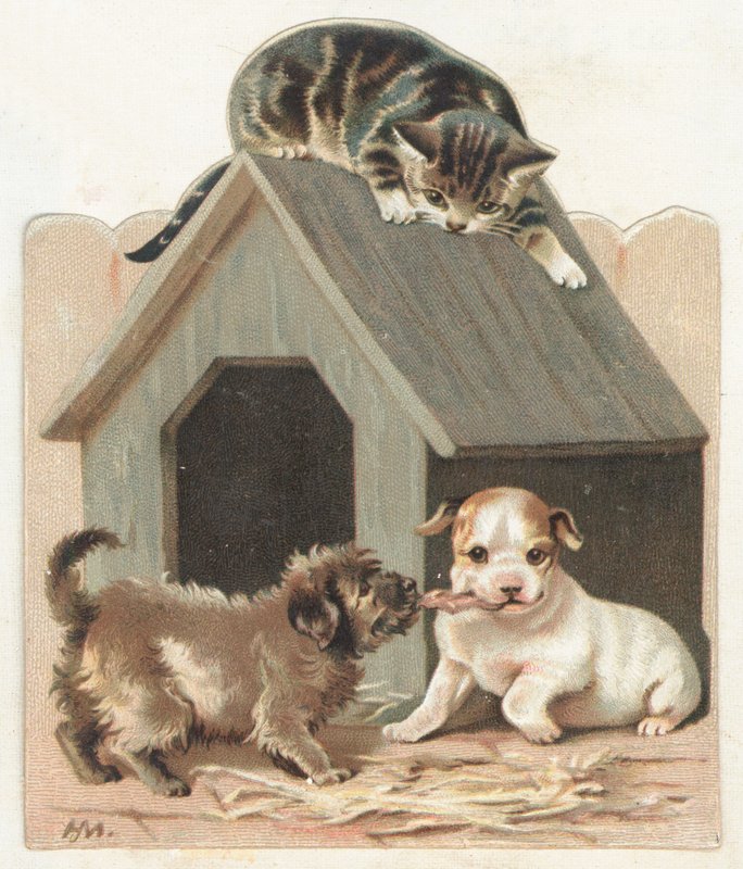 Filhotes de cachorro brincalhão e gatinho, cartão de Natal de English School