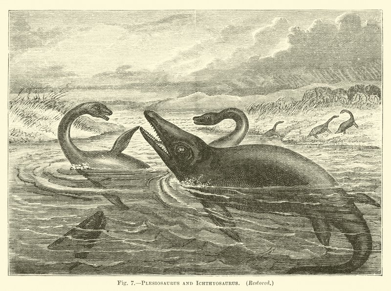 Plesiosaurus e Ichthyosaurus de English School