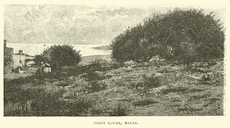 Point Koura, Malta de English School