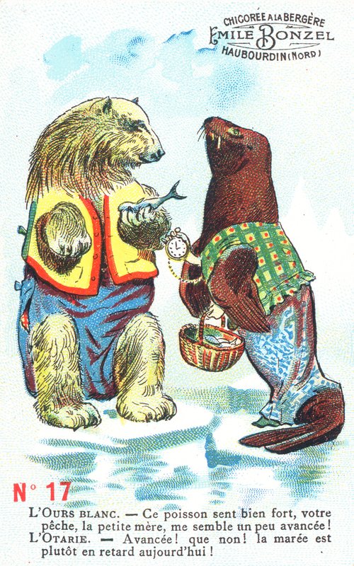 Urso Polar e Selo de English School