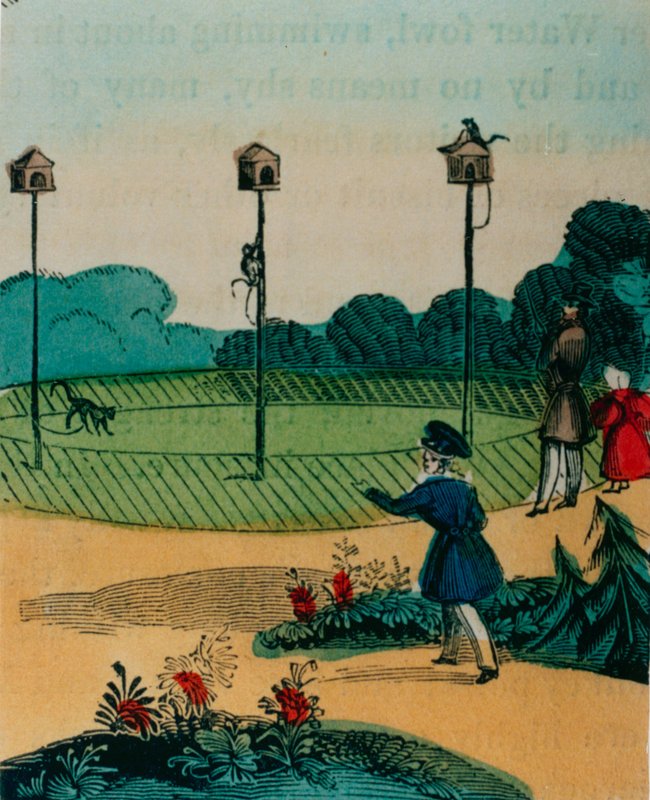 Pólos para os quais os macacos foram acorrentados no verão como macacos em um brinquedo de pau. 1840s de English School