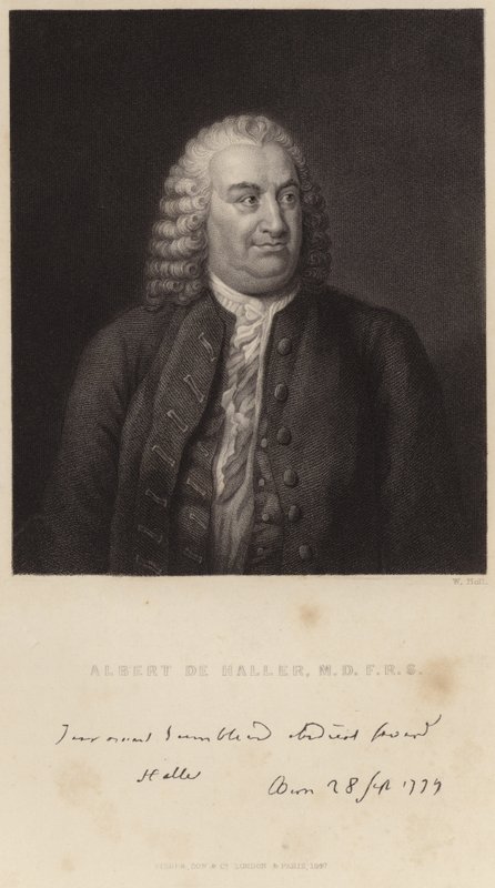 Retrato de Albert de Haller de English School