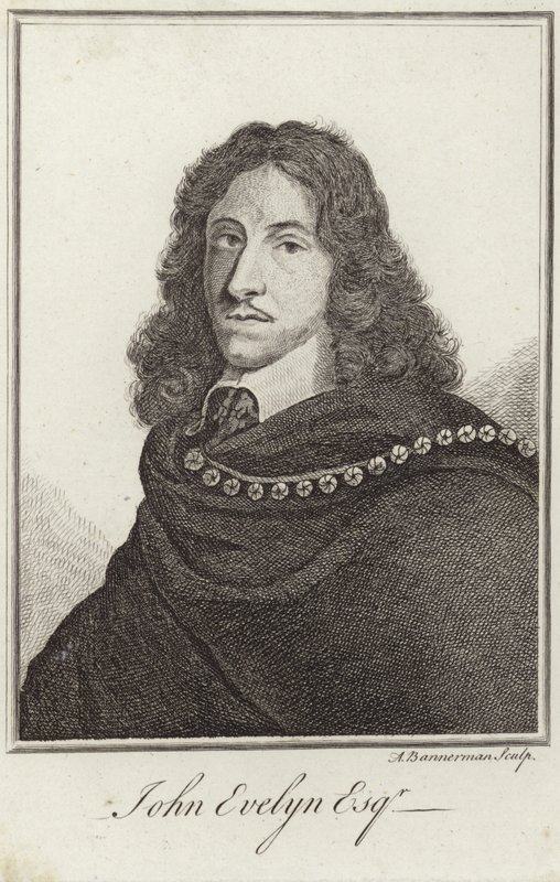 Retrato de John Evelyn de English School