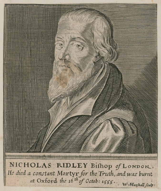Retrato de nicholas ridley de English School
