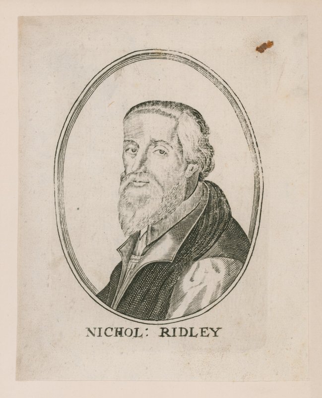 Retrato de nicholas ridley de English School