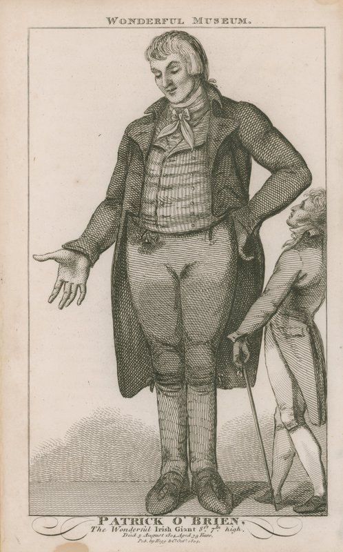 Retrato de Patrick OBrien de English School
