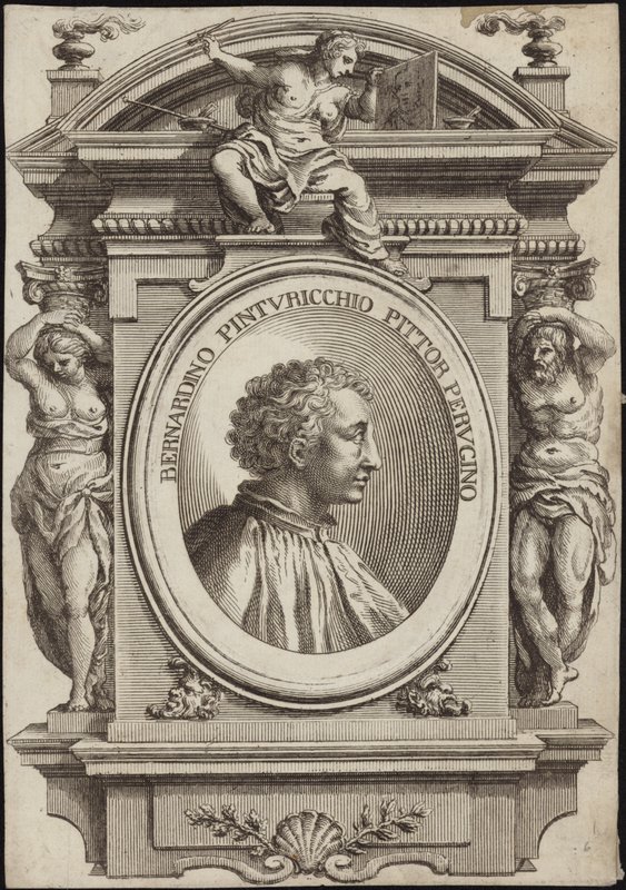 Retrato, de, pintoricchio de English School