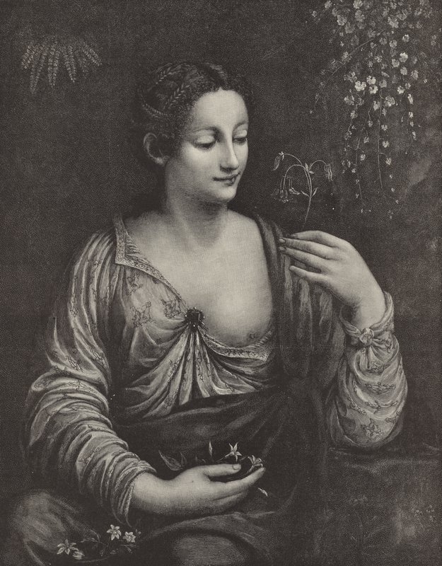 Retrato de uma jovem senhora de English School