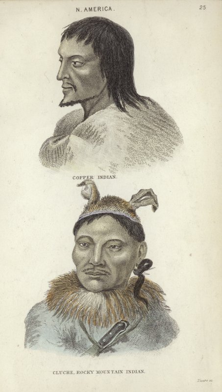 Retratos de um índio de cobre e um índio das Montanhas Rochosas (gravura a cores) de English School