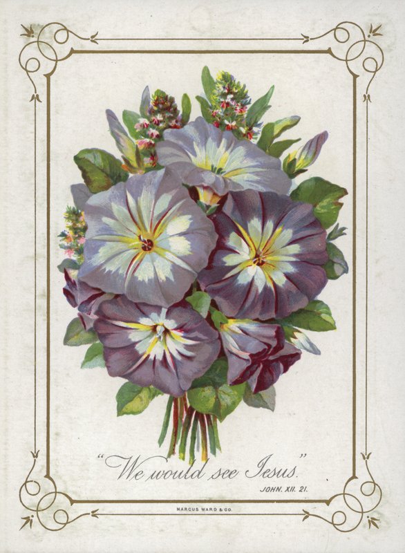 Posy de flores de English School