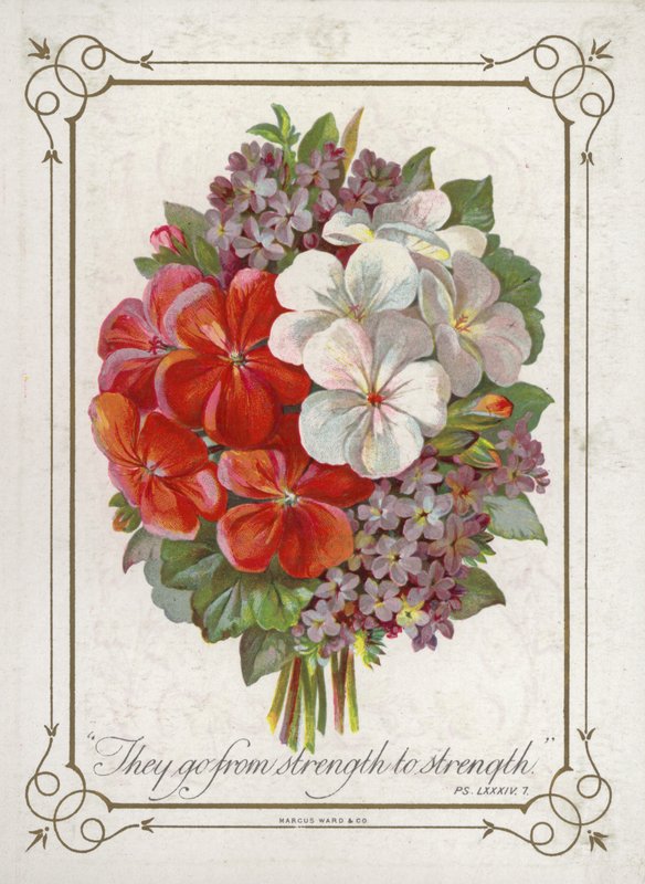 Posy de flores de English School