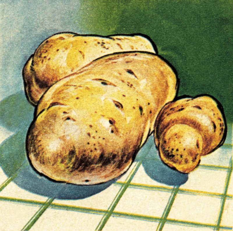 Batatas de English School