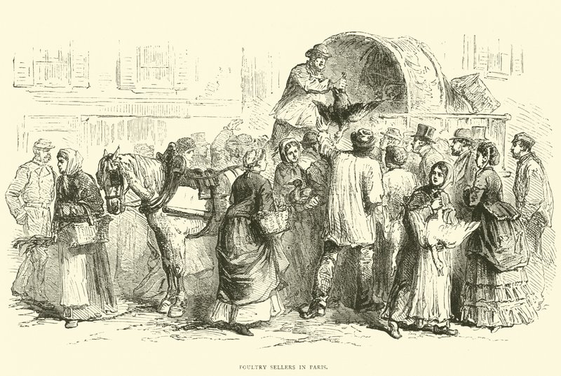 Vendedores de aves em Paris, outubro de 1870 de English School