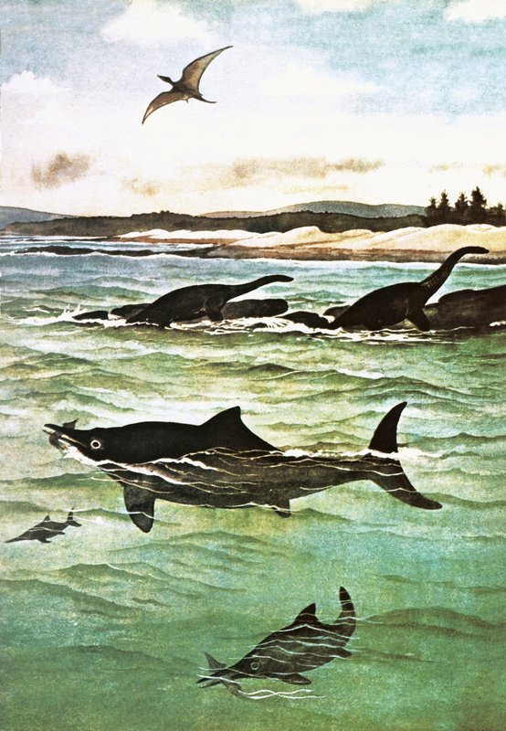 Criaturas marinhas pré-históricas de English School