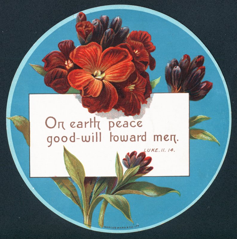 Prímulas, cartão de Natal (chromolitho) de English School