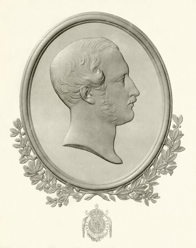 Prince Albert de English School