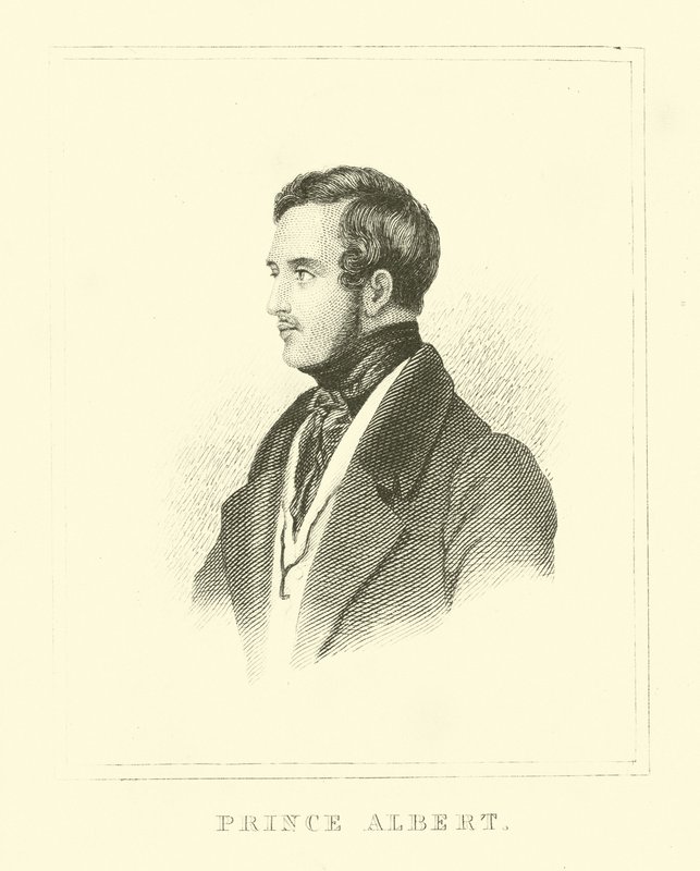 Prince Albert de English School