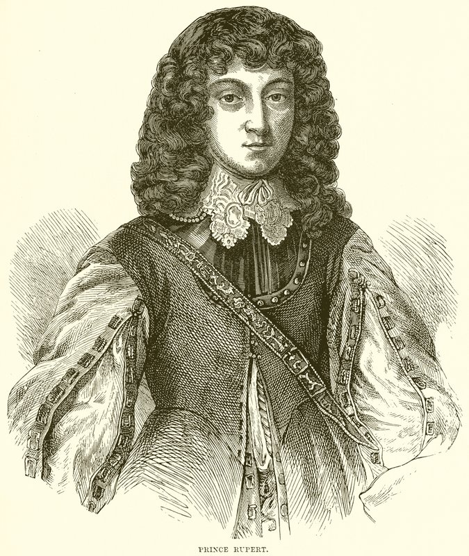 Prince Rupert de English School