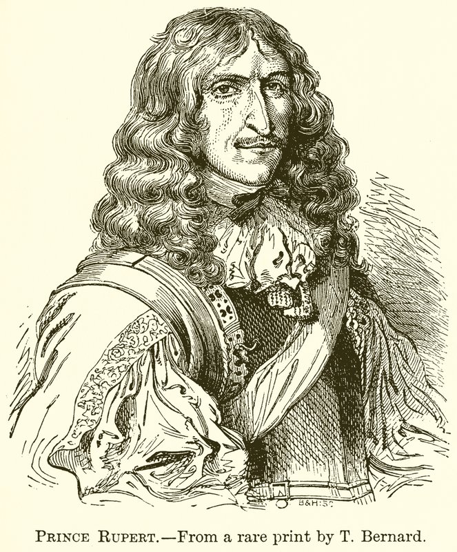 Prince Rupert de English School