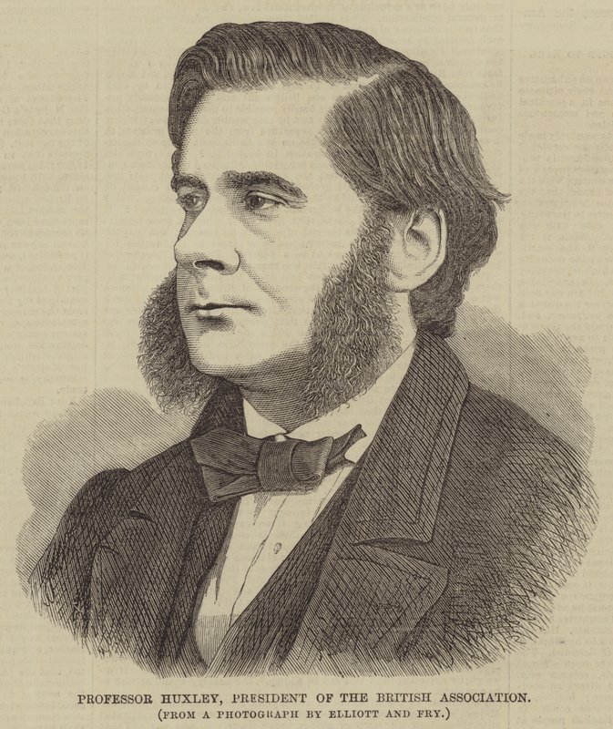 Professor Huxley, Presidente da Associação Britânica (gravura) de English School