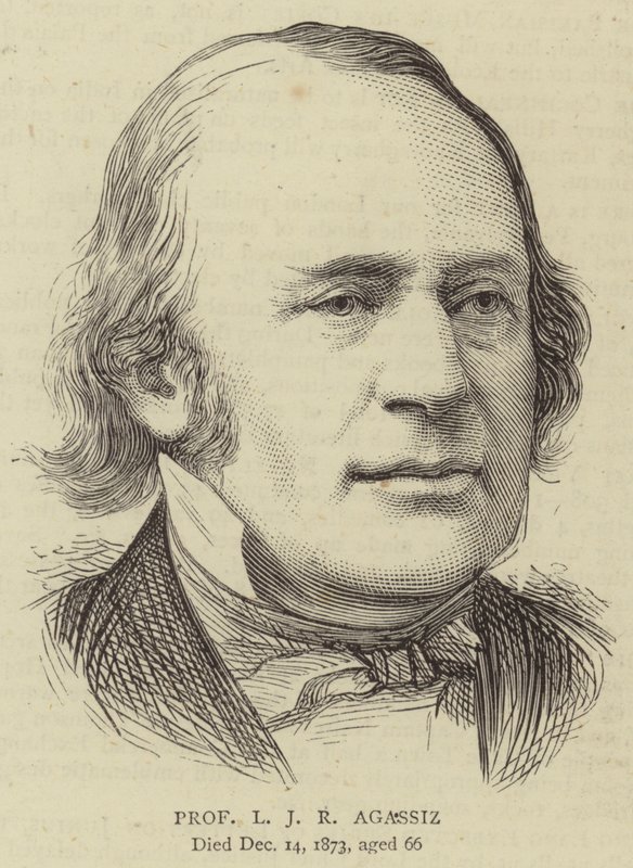 Professor L J R Agassiz (gravura) de English School