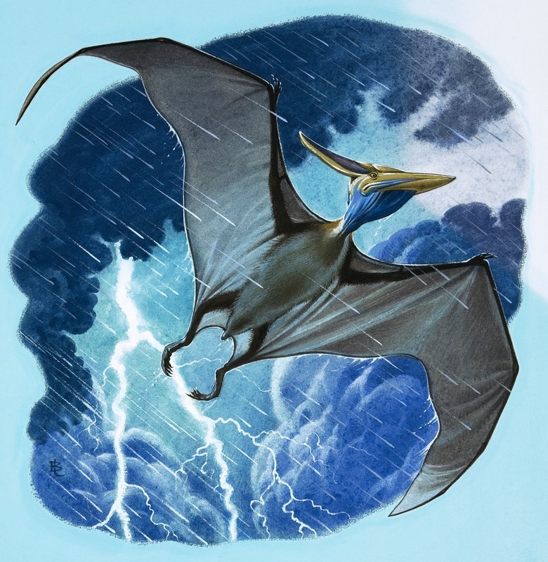 Pterodáctilo de English School