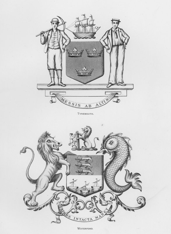 Armas públicas: Tynemouth; Waterford (gravura) de English School