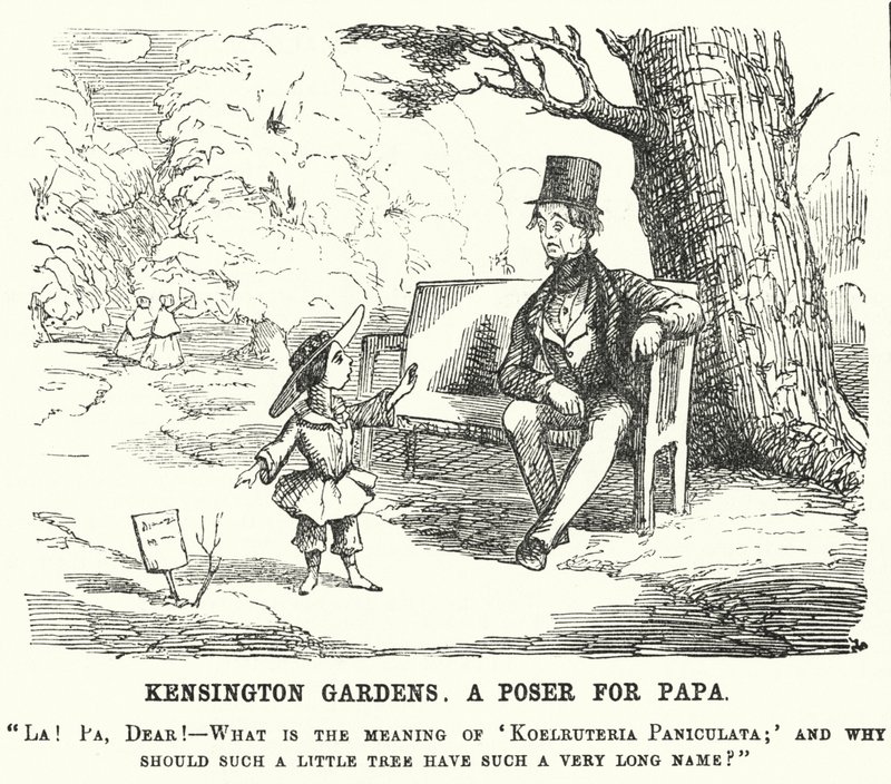 Punch cartoon: criança a fazer uma pergunta ao pai em Kensington Gardens, Londres (gravura) de English School