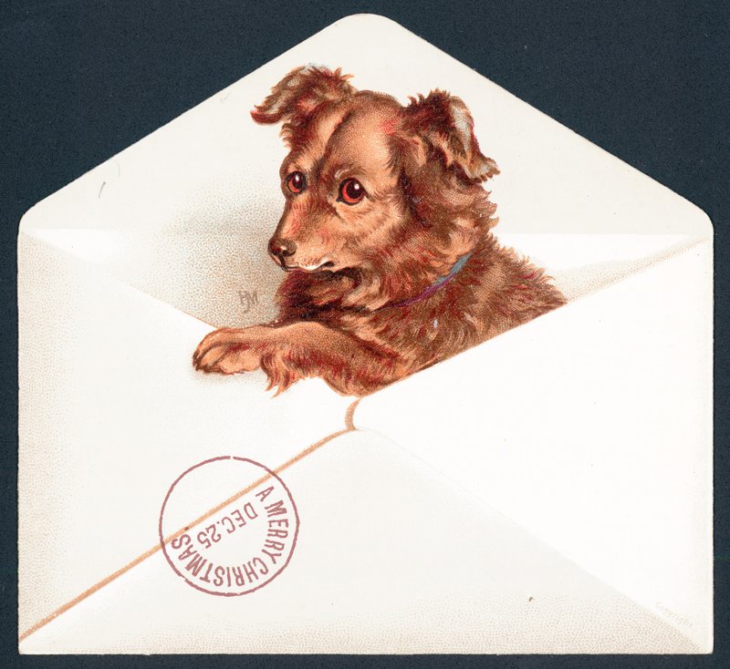 Cachorrinho no envelope, cartão de Natal de English School
