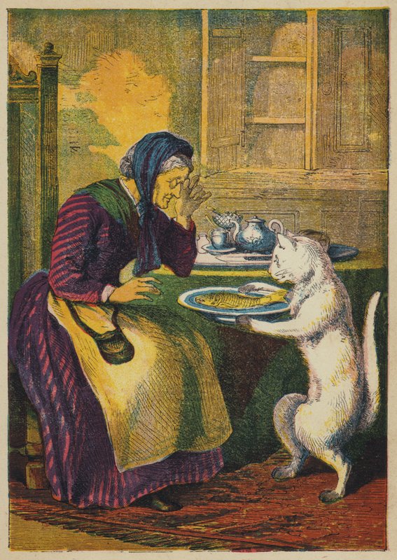 Gato Traz em Peixe (cor litho) de English School