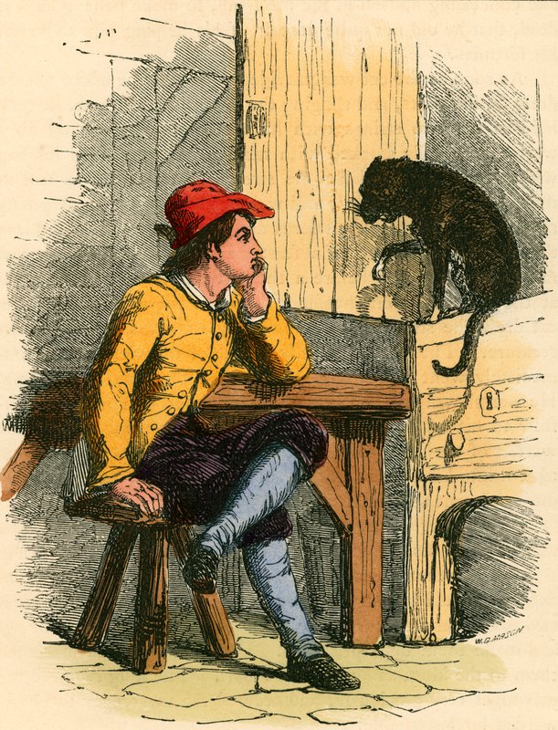 Gato conforta seu mestre de English School