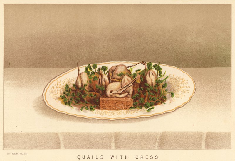 Codornizes com agriões (cor litho) de English School