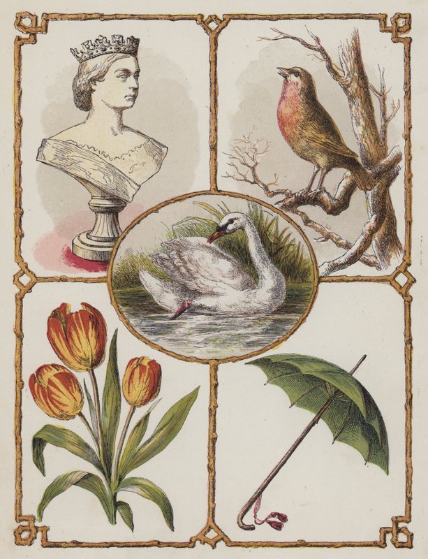 Rainha, Robin, Cisne, Tulipa, Guarda-chuva (cor litho) de English School