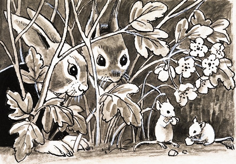 Coelhos e ratos de English School