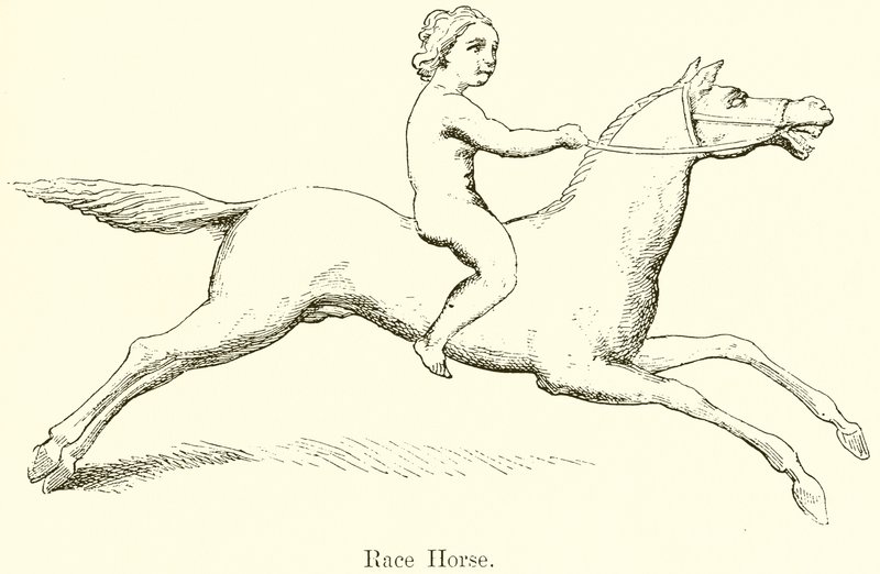 Cavalo de corrida de English School