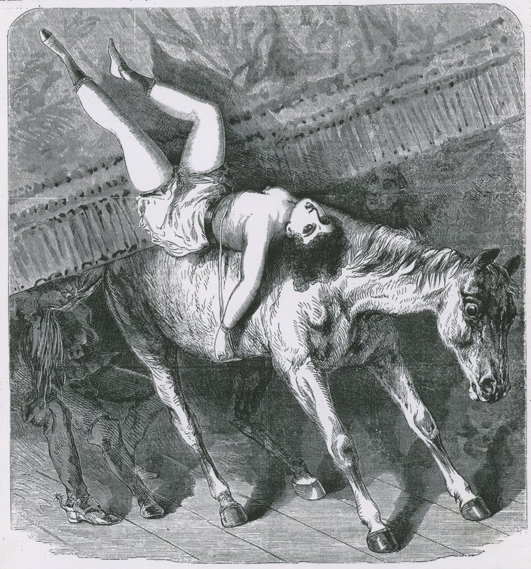 Lembranças do Astleys Theatre, em Londres, o cavalo de fogo selvagem se esquece de sua parte e a cortina infelizmente desce de English School