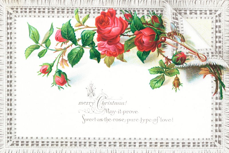 Rosas vermelhas e borboleta, cartão de Natal de English School