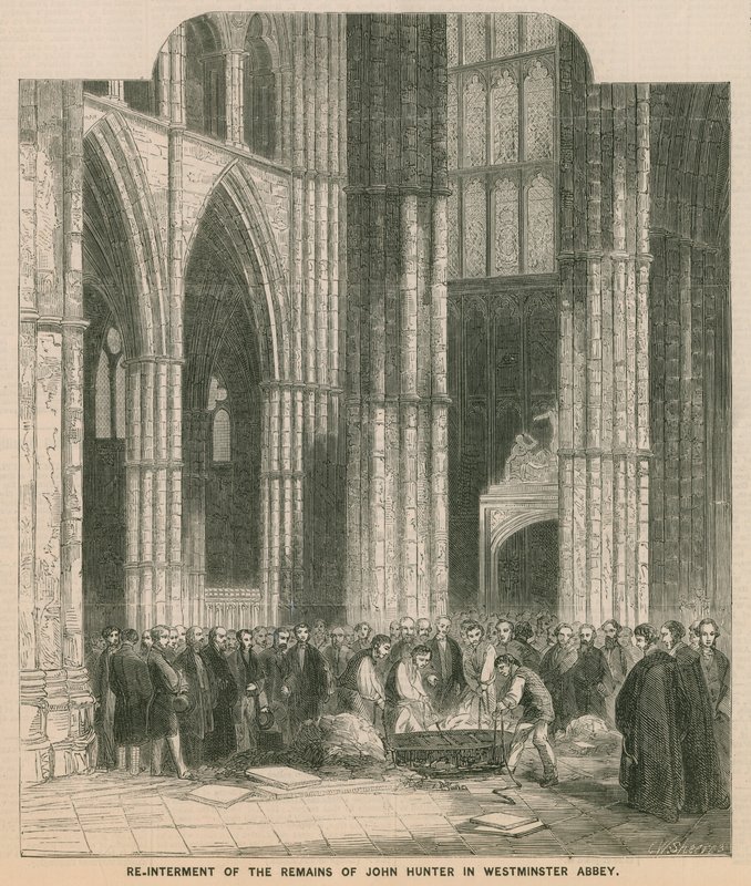 Reinterment de John Hunters permanece na Abadia de Westminster de English School