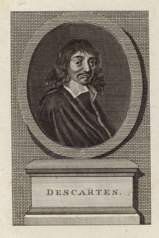 René Descartes de English School