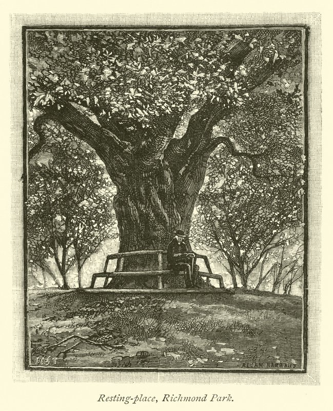 Lugar de descanso, Richmond Park de English School