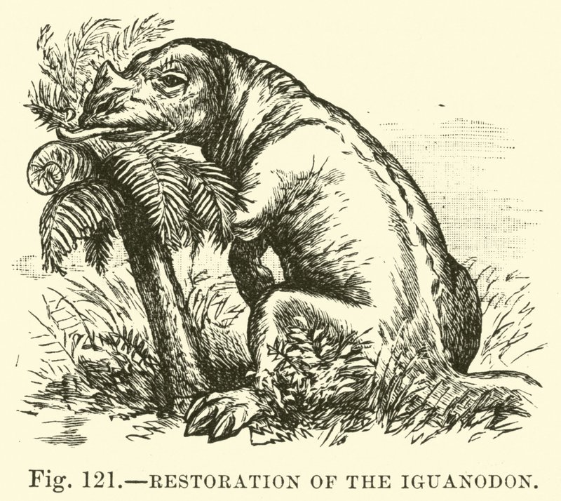 Restauração do Iguanodon de English School