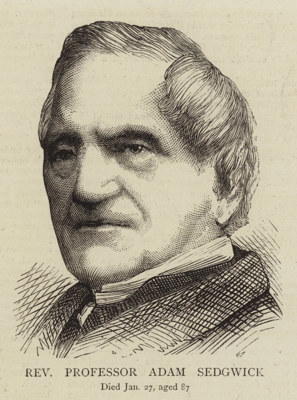Reverendo Professor Adam Sedgwick (gravura) de English School