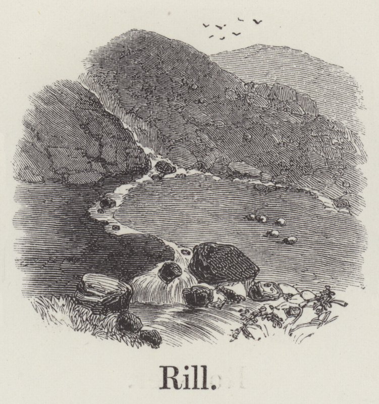Rill (gravura) de English School