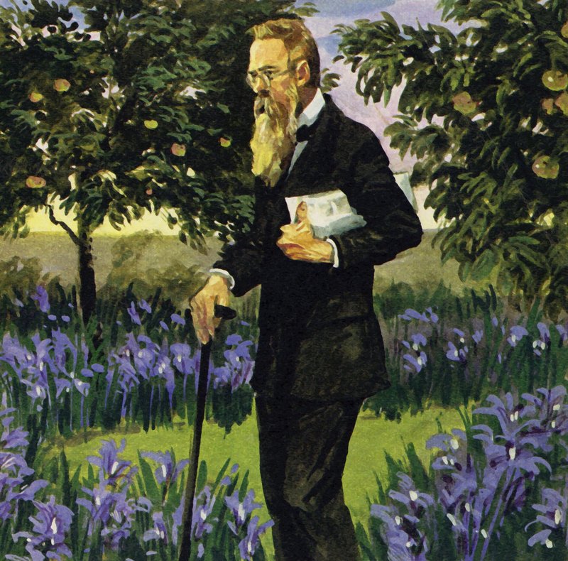 Rimsky-Korsakov sofreu um ataque cardíaco, mas recuperou o suficiente para andar em seu jardim de English School