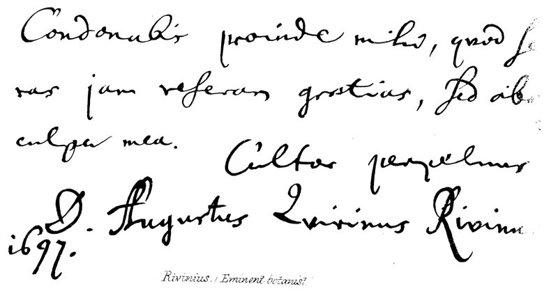 Rivinius, (botânico eminente) de English School