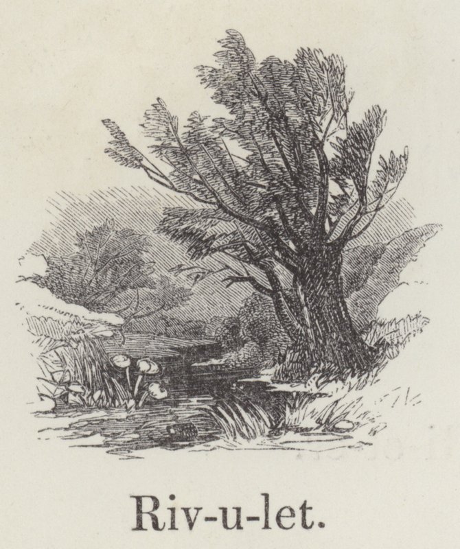 Rivulet (gravura) de English School