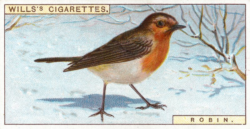 Robin de English School