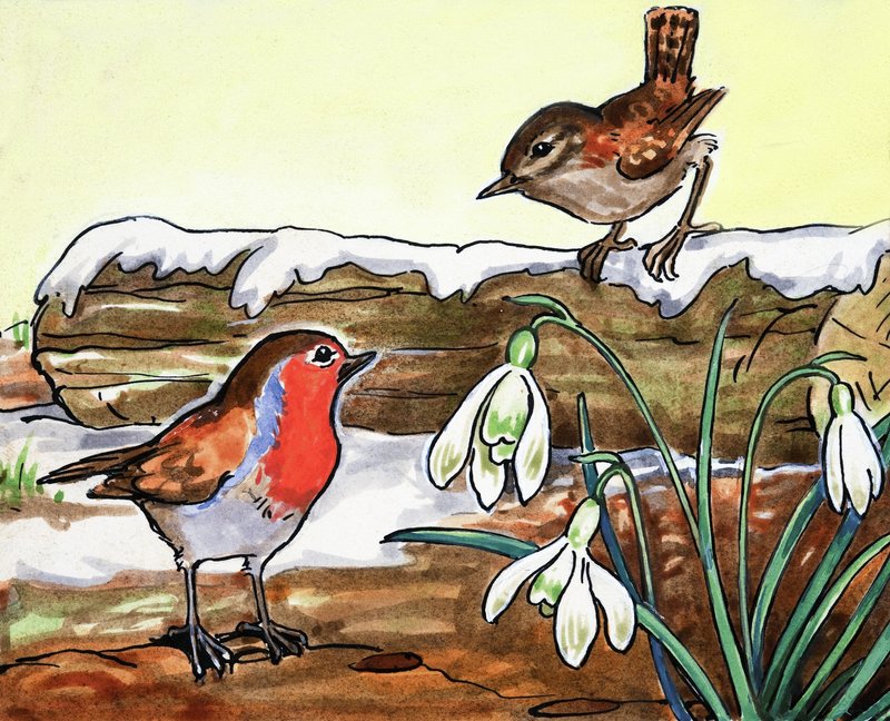 Robin Redbreast e Jenny Wren de English School