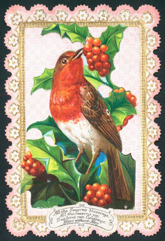 Robin que come bagas, cartão de Natal de English School