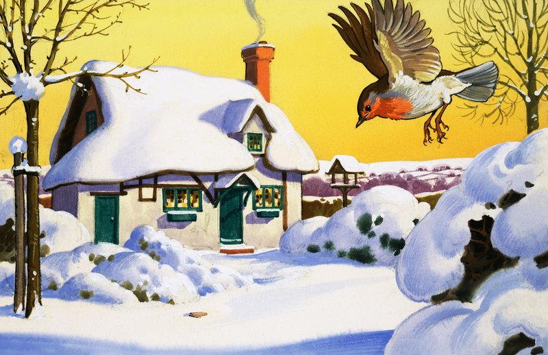 Robin voando na neve de English School
